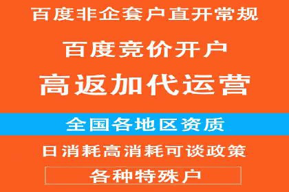 实战解析：SEM代运营成功案例分享